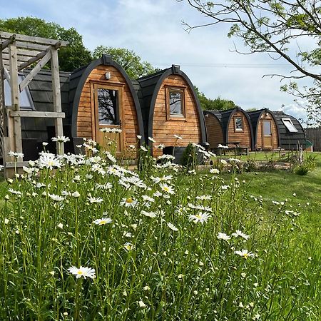 Hedgehog Glamping Pod School House Farm Hotel Leighton  Екстериор снимка