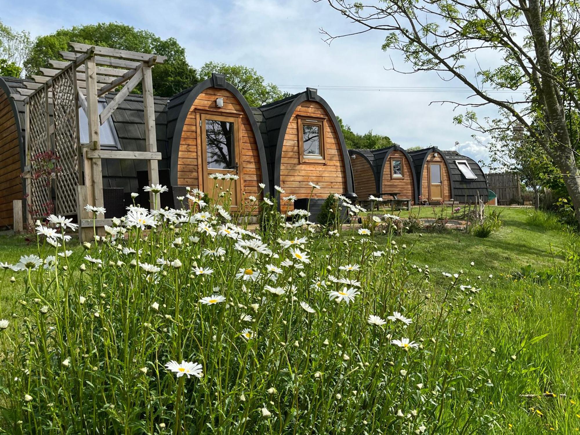 Hedgehog Glamping Pod School House Farm Hotel Leighton  Екстериор снимка